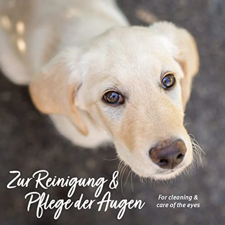 AniForte Augen Reinigungspads Hunde 100 Stück - Sanfte Reinigungstücher zur Augenpflege, Milde Augen Reinigung ohne zu Reizen, Entfernt Tränenstein & Speichelreste, Tränenfleckentferner Hund – Bild 4