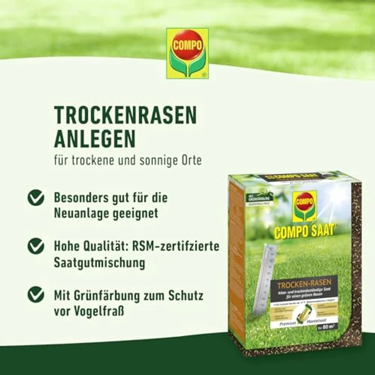 COMPO SAAT Trocken-Rasen, Hitze- und trockenverträgliche Rasensamen für sonnige Standorte, 2 kg für 80 m² – Bild 2