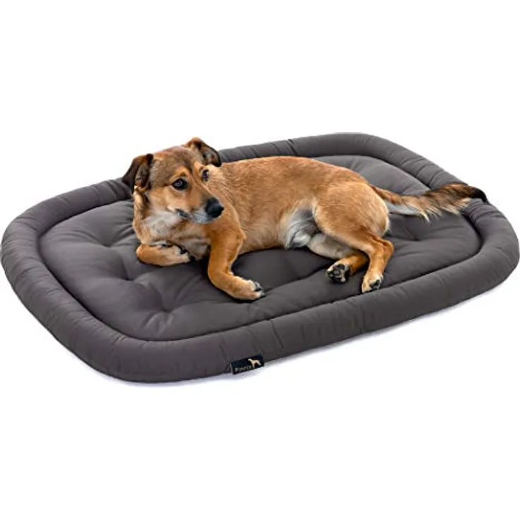 Pointer | Hundekissen waschbar, orthopädisches Hundebett für kleinere Hunde (M - 70x50 cm, Grau)