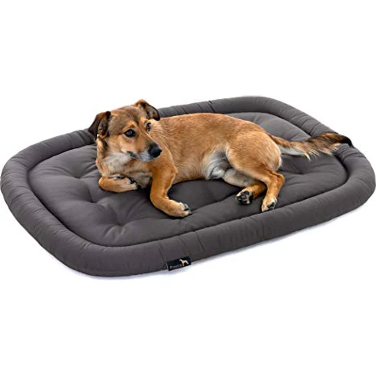 Pointer | Hundekissen waschbar, orthopädisches Hundebett für kleinere Hunde (M - 70x50 cm, Grau) – Bild 1