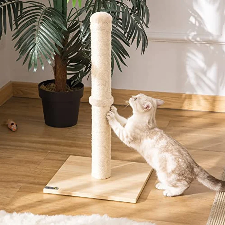 PawHut Kratzstamm für Katzen Kratzsäule aus Sisal Stabiler Kratzbaum Kratz Spielzeug Katze mit Ball 60 cm Spanplatte Sisal Beige+Eiche 34 x 34 x 60 cm – Bild 2