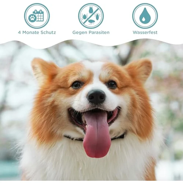 OptiPet Tier-Halsband Flohhalsband für Hunde Zeckenhalsband, Wirkt 4 Monate, wasserfest, für Hunde ab 12 Wochen - Preisvergleich – Bild 3
