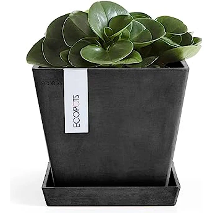 ECOPOTS Blumentopfuntersetzer SQUARE SAUCER Dark Grey, bruchsicher und UV-beständig, BxTxH: 35,5x35,5x3,5 cm – Bild 2
