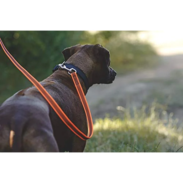 JULIUS-K9 225CG Color & Gray Halsband, 25mm*39-65 cm, verstellbar, schwarz-grau – Bild 5