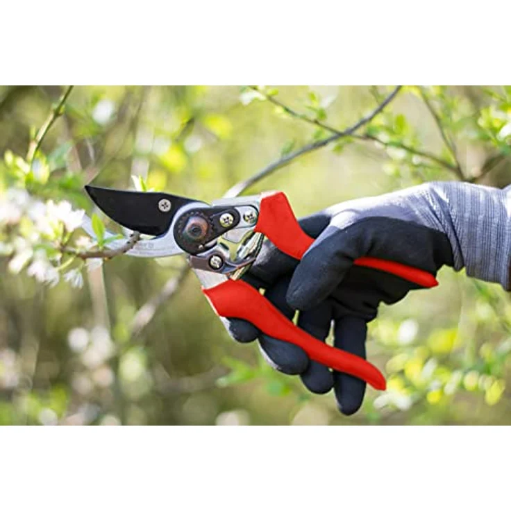 Meister Gartenschere mit Bypass-Klinge - Antihaft-Beschichtung - Geeignet für weiches Gehölz und Frischholz - Für präzise Schnitte - Rosenschere - Rebschere - Floristenschere - Bypass-Schere - 9719000 Rechtshänder mittelgroß – Bild 6