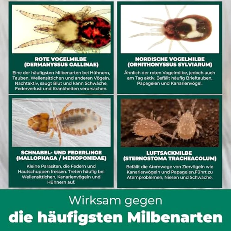 Silberkraft Insektenspray Milbenspray für Ziervögel & Geflügel, 250 ml, effektiver Langzeitschutz vor Milben & Parasiten, hergestellt in Deutschland – Bild 4