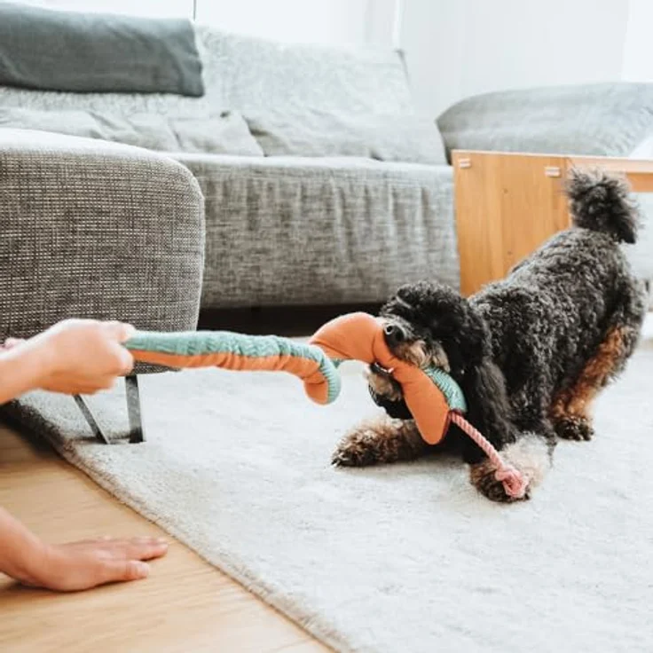 Hunter Tierbedarf Tierkuscheltier Hundespielzeug Rio Fledermaus mit Tau, recyceltes Material, robuste Verarbeitung, 25 cm – Bild 5