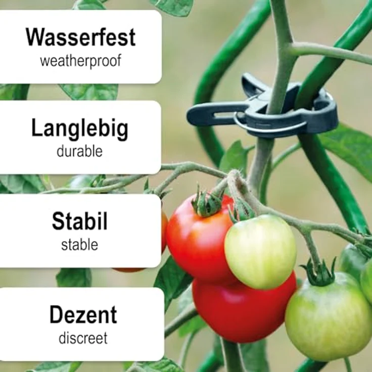 com-four® 60x Pflanzenklemmen groß, Rankhilfen zur Sicherung von Pflanzen, grün, wiederverwendbar und witterungsbeständig – Bild 3