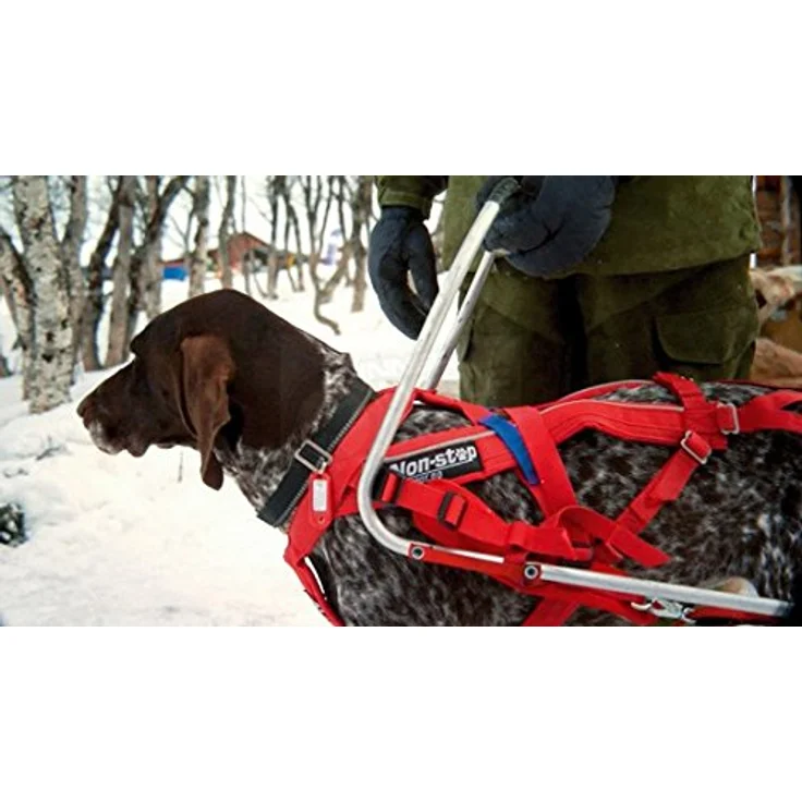 Non-stop dogwear Combined Harness (Hunde-Zuggeschirr) | geeignet für Skijöring und Pulka, schwarz – Bild 4