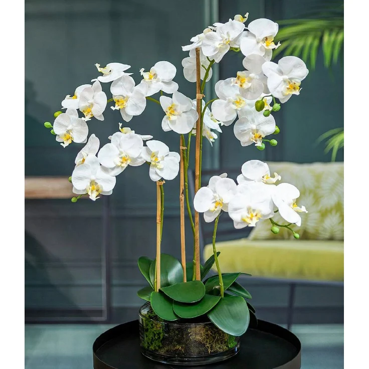 Kunstblume Orchidee Phalaenopsis im Glas, weiß, ca. 50 cm hoch, Dahlia Studios, Höhe 50 cm