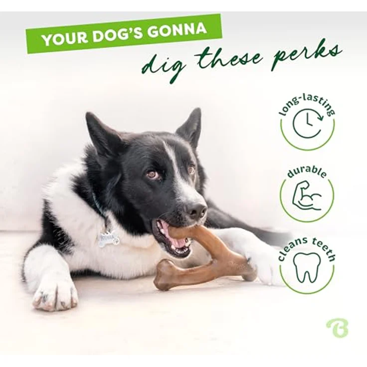 Benebone Wishbone Echter Speck Medium Langlebiges Hundekauspielzeug für Aggressive Kauer – Bild 3