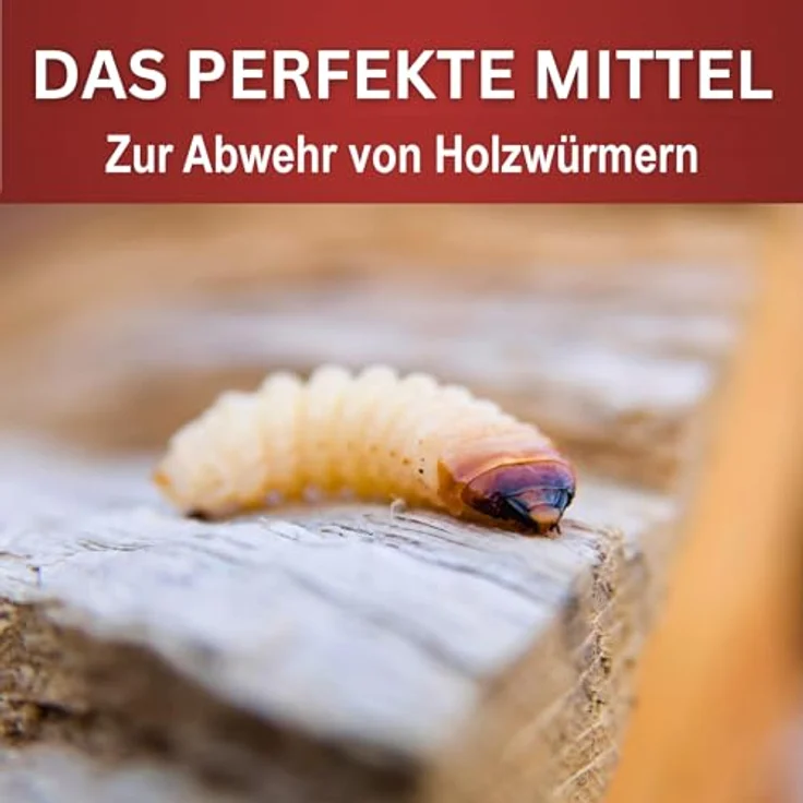 BIODELTA Holzwürmer-Ex Spray, 5 L - Hochwirksames Holzwurmmittel mit Langzeitschutz, geruchlos und fleckenfrei, für Innen- und Außenanwendung – Bild 3
