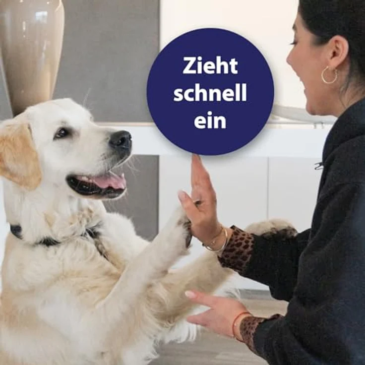 Canosept Pfotenpflege, 75 g intensive Pflegecreme für Hundepfoten, schnell einziehend, von Tierärzten empfohlen – Bild 4