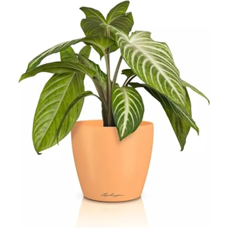 Lechuza® Übertopf Classico Color 14 DECO, bruchsicherer Pflanzgefäß in papaya, 1,8 l Volumen – Bild 1