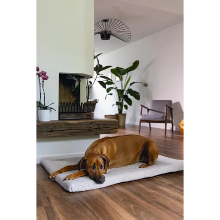 Beeztees Ito, Orthopädisches Käfigkissen für Hunde mit Gelenkproblemen, Hellgrau, 121x78x5 cm – Bild 3