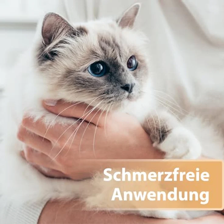 Felisept Wundspray für Katzen, 75ml - Optimale Wundversorgung, schmerzfreie Anwendung, von Tierärzten empfohlen – Bild 4