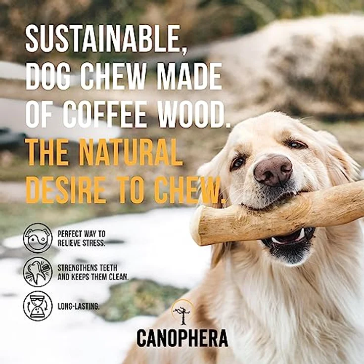 Canophera Original Kaffeeholz Hundekaustab | Natürliches, splitterarmes Hundespielzeug zur Zahnpflege, vegan & koffeinfrei, Größe S – Bild 2