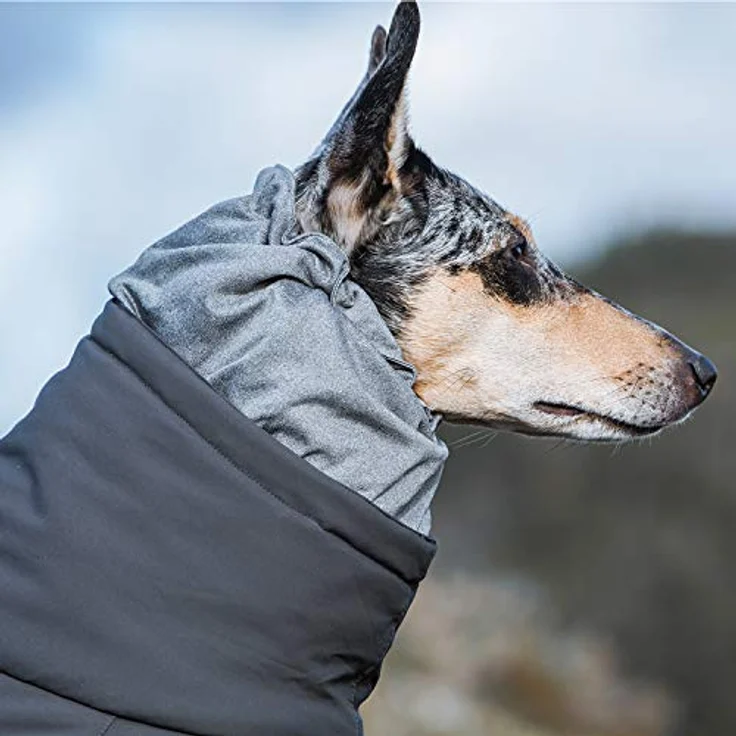 Extreme Overall Winterjacke für Hund (BlackBerry, 25S) – Bild 5