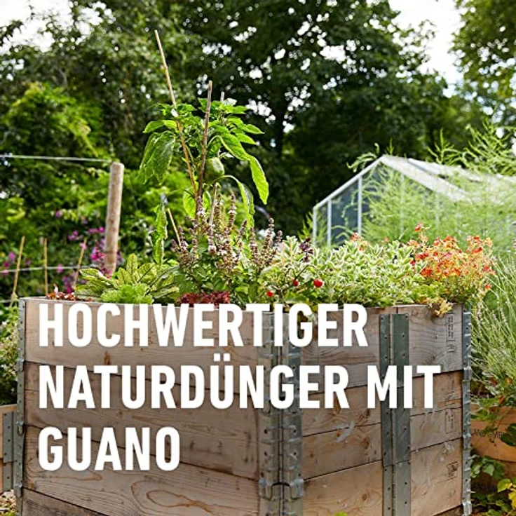 Compo BIO NaturDünger Guano 3 kg – Bild 3
