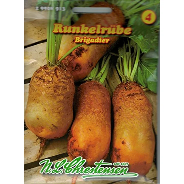 N.L. Chrestensen Runkelrübe, Eckdorot (Typ Rote Walze) 25 g – Bild 2