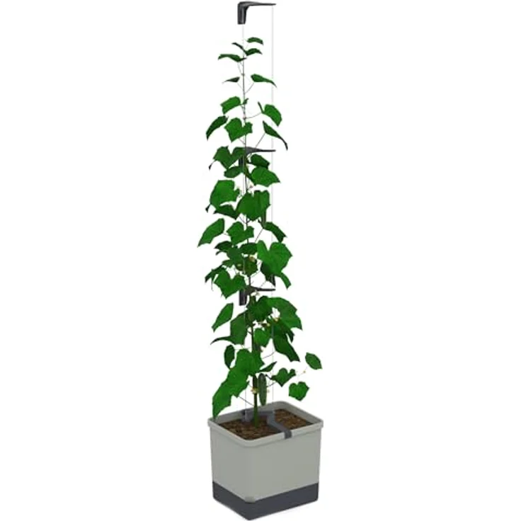GUSTA GARDEN Curt Cucumber - Selbstbewässernder Gurkentopf mit Ranksystem, 20L Erdvolumen & 4,5L Wassertank, Rankhilfe, UV-Stabil, Made in EU (hellgrau) – Bild 1