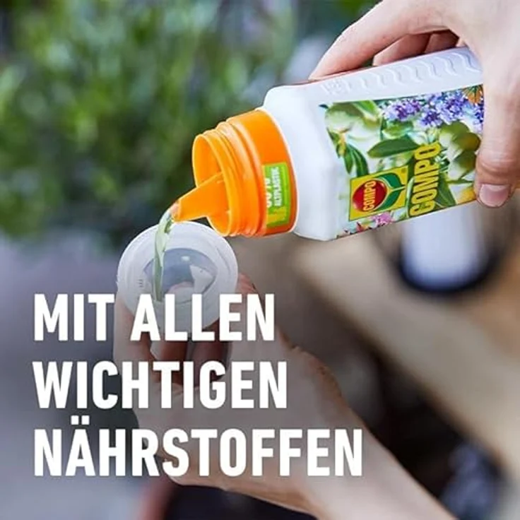 Compo Mediterraner Pflanzendünger, 500 ml – Bild 5