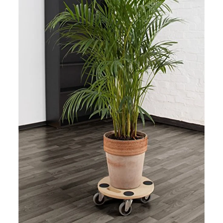 Metafranc Pflanzenroller Ø 350 mm - 150 kg Tragkraft - MDF-Platte - TPE-Räder - Möbelroller - Untersetzer mit Rollen - Transporthilfe für Pflanzen - 821360 – Bild 6