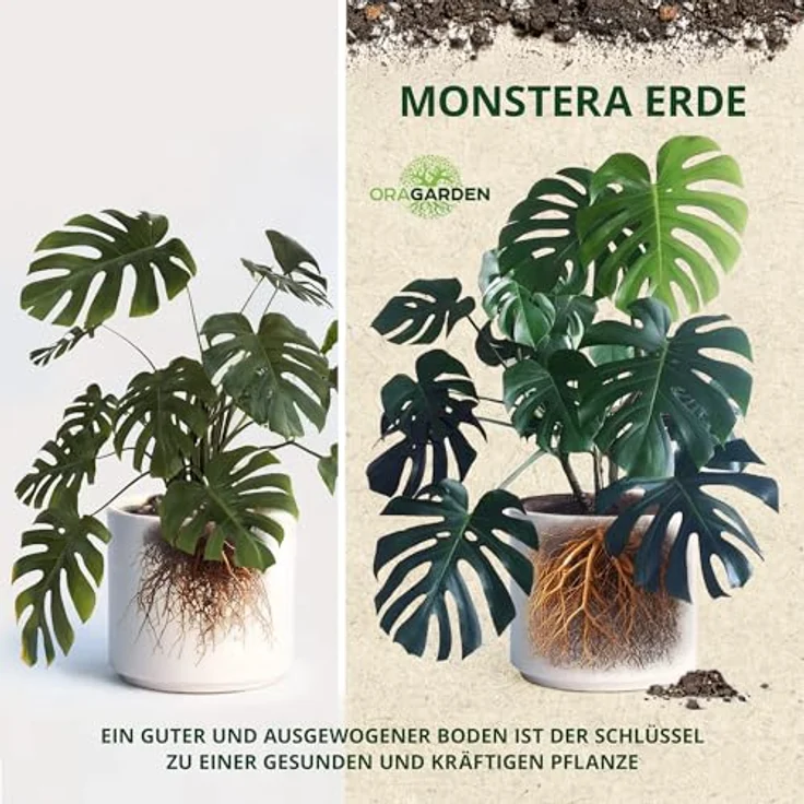 OraGarden Substrat Erde für Monstera, Blumenerde, Karnivorenerde Spezial Premium (3L) – Bild 3