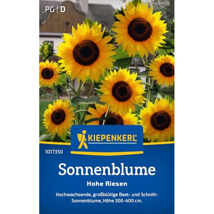 Kiepenkerl Blumensamen Sonnenblumen (Helianthus annuus), Gelb, 15 Pflanzen, einjährig