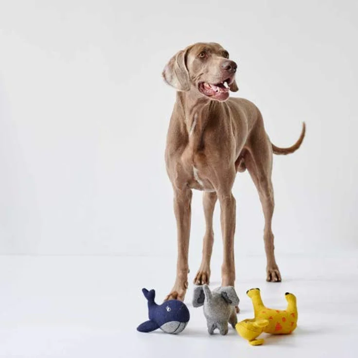 HUNTER EIBY Hundespielzeug, upgecyceltes Außenmaterial, recycelte Füllung, 21 cm, Giraffe - Preisvergleich – Bild 4