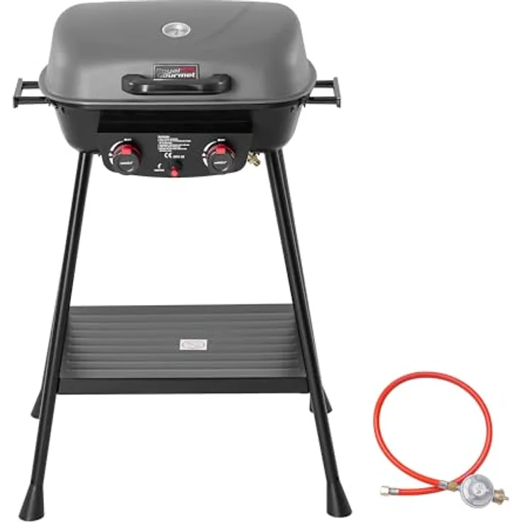 Royal Gourmet 2-Brenner Gasgrill, 5 kW Balkon-Picknick-Grill mit leicht demontierbarem Grillständer und praktischer Ablagefläche