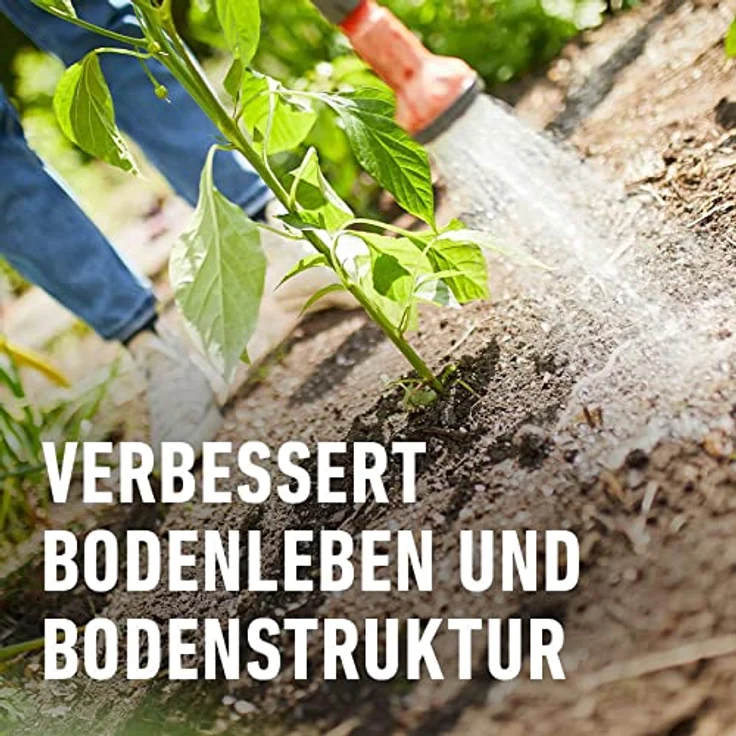 Compo Bio Hornspäne Compo 12611 2,5kg Hsp 2.5 – Bild 7