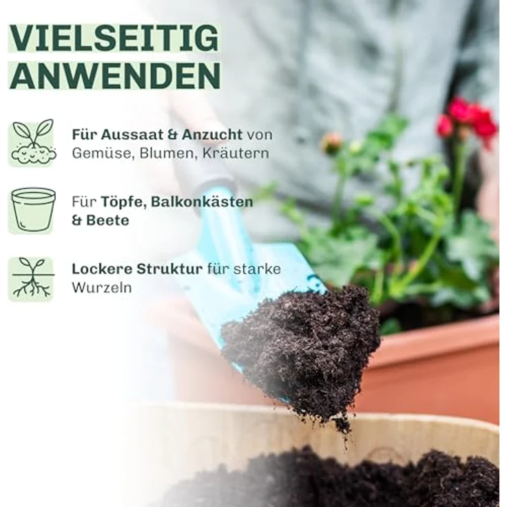 Blumixx Stauden Alchemilla sericata Gold Strike - Frauenmantel – Bild 4