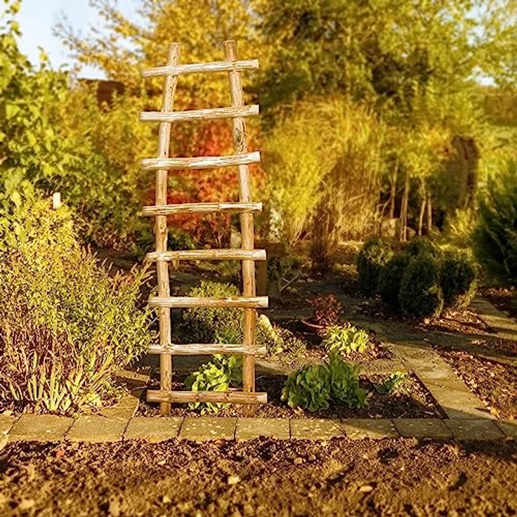 BooGardi Natürliche Rankhilfe aus Holz · 33 Verschiedene Größen · Höhe 120 x Breite 50 cm · Garten Rankgitter Kletterhilfe · Spalier freistehend für Kletterpflanzen – Bild 5