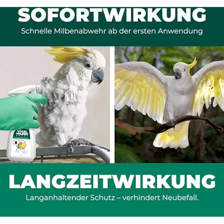 Silberkraft Insektenspray Milbenspray für Ziervögel & Geflügel, 250 ml, effektiver Langzeitschutz vor Milben & Parasiten, hergestellt in Deutschland – Bild 6