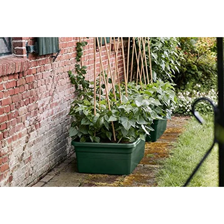 Elho Green Basics Beweglicher Garten, Übertopf für Draußen in Laubgrün, 76.7 x 57.9 x 29 cm, mit 6 integrierten Rädern, aus Recycling-Kunststoff, 100% recycelbar – Bild 5