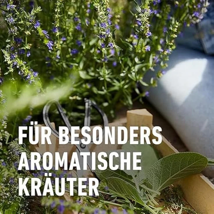 Compo BIO Kräuterdünger 500 ml – Bild 8