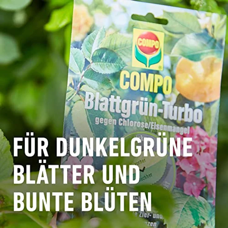 Compo Fetrilon 13% Fe 20 g – Bild 6