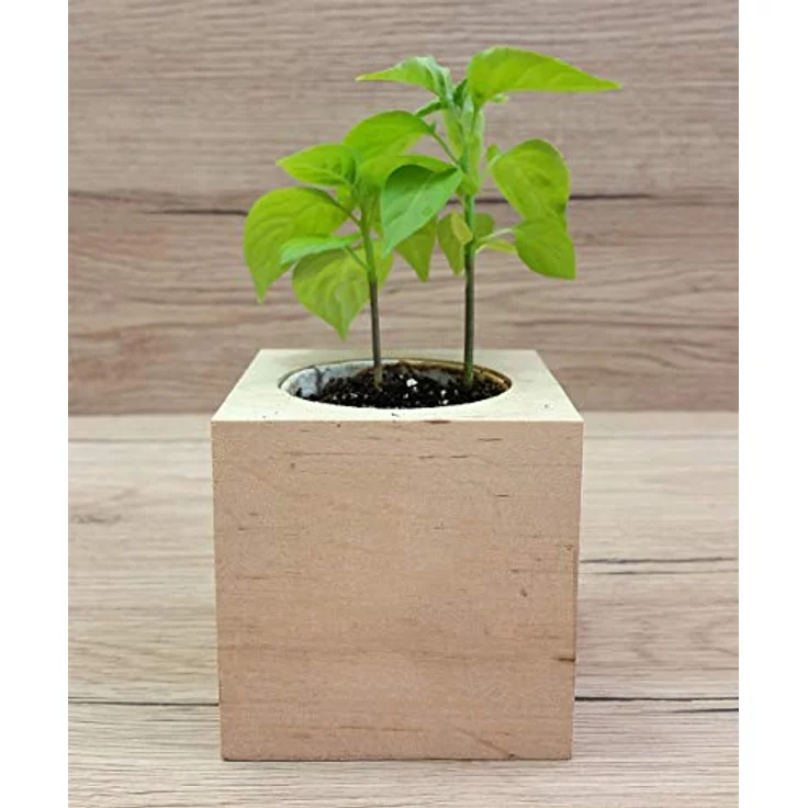 Feel Green Ecocube Chili Carolina Reaper, Anzuchtset mit Schärfegrad 10+ und 2.2 Millionen Scoville, 100% Eco Friendly, Made in Austria – Bild 4