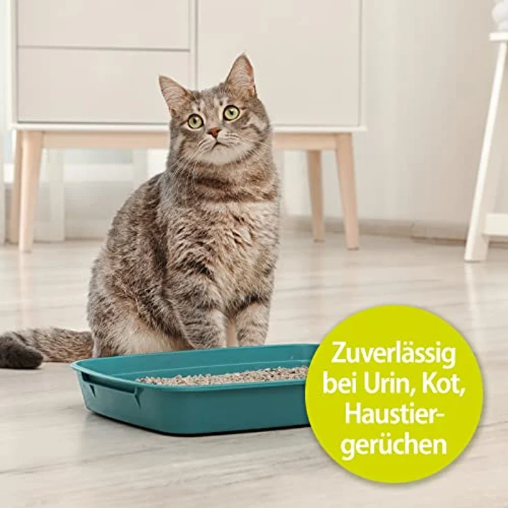 Bactador Katzentoiletten Enzymreiniger Katzenurin Geruchsentferner Spray 500ml Mikrobiologischer Geruchsneutralisierer Katzenurin & Tiergerüche Porentiefe Reinigung Hunde & Katzenumgebung – Bild 3