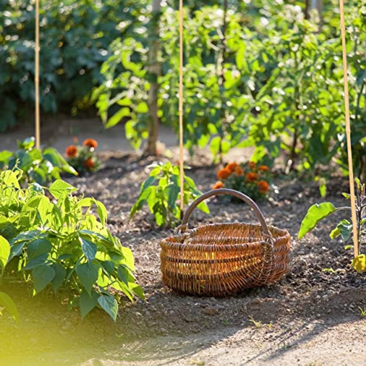 Relaxdays Bambusstäbe 150cm, aus natürlichem Bambus, 25 Stück, Bambusstangen als Rankhilfe oder Deko, zum Basteln, natur – Bild 2