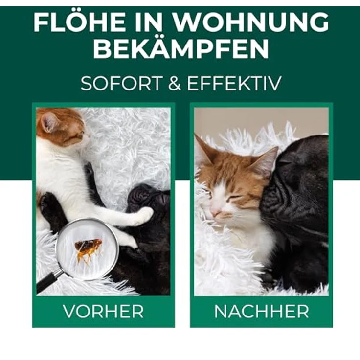 Silberkraft Flohspray für Umgebung, gegen Flöhe, Zecken & Milben, 500 ml, Langzeitschutz, ideal für Textilien, Made in Germany – Bild 2