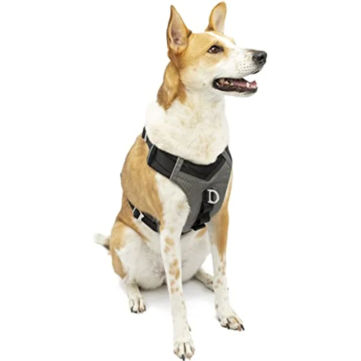 Kurgo Journey Air Geschirr (XL, Hund, Spazieren), Halsband + Leine – Bild 1