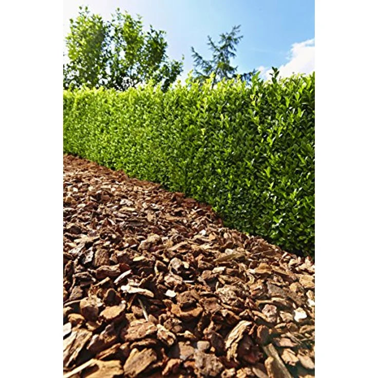 Floragard Mulch Pinienrinde 15-25 mm, dekorativer Bodenbelag, 2x60 L, naturbelassen, unterdrückt Unkrautwuchs, für mediterranes Flair, 120 L – Bild 2