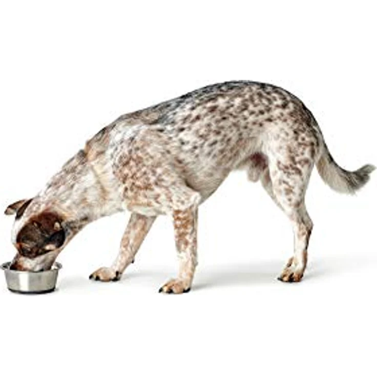 Hunter Futter- & Trinknapf HUNTER Gravur 2er-Set 550 ml – 13 cm - Preisvergleich – Bild 5
