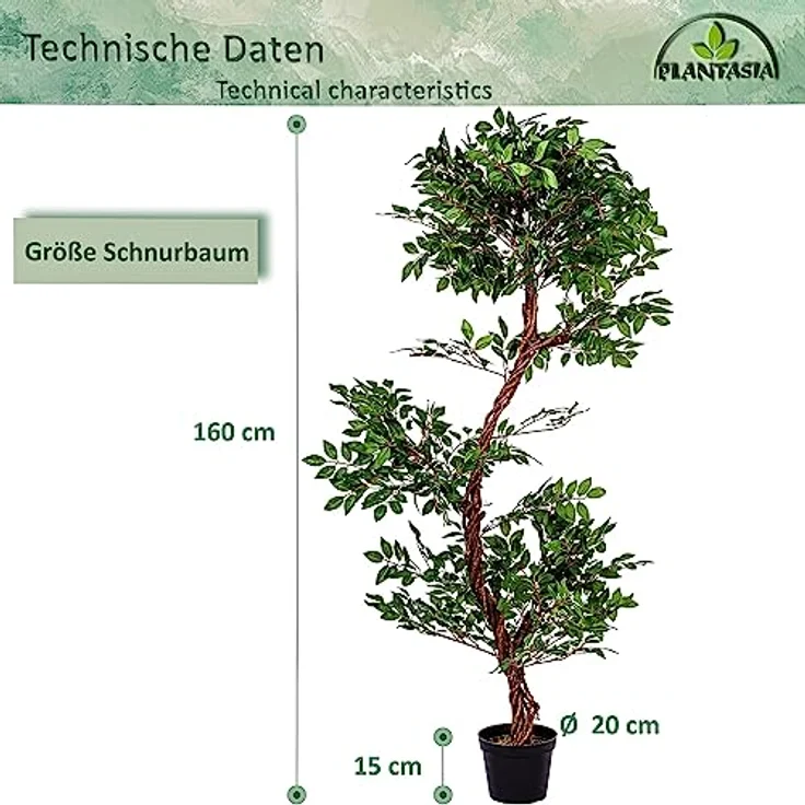 PLANTASIA Kunstpflanze Schnurbaum 160 cm, Authentisch gestaltet mit Echtholzstamm, Schwarzer Untertopf – Bild 4