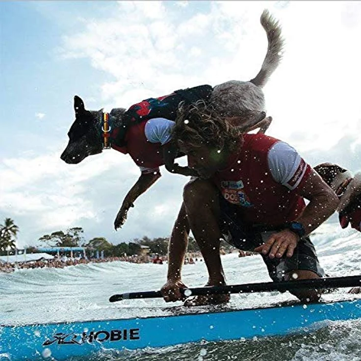 EzyDog Rettungsweste, Hundeschwimmweste mit verstellbaren Trägern und Ultra-Buoyancy-Schaumgummi, Größen 27-40 – Bild 3