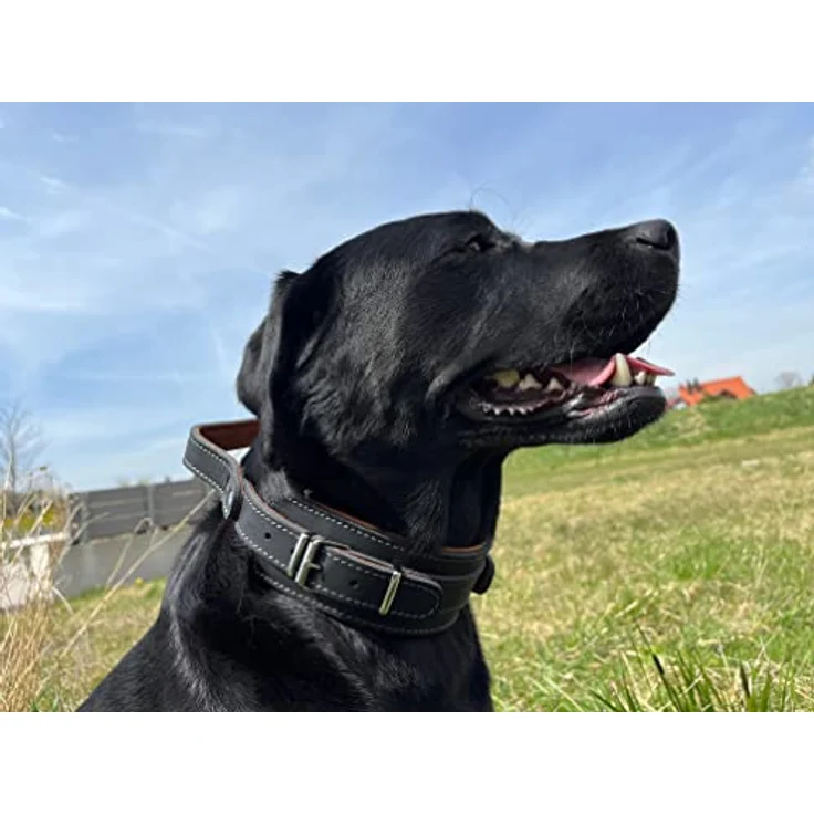 Hundehalsband mit Griff, Dickes qualitativ hochwertiges Leder 40cm bis 55cm x 60mm - Erziehungshalsband - Taktisches Halsband - bis zu 15cm verstellbar - weich gepolstert – Bild 2