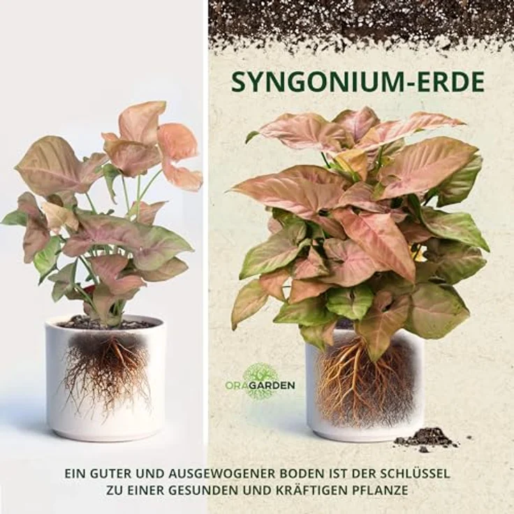 OraGarden Syngonium Erde Pflanzerde Blumenerde Spezial Erde für Syngonium (6L) – Bild 3
