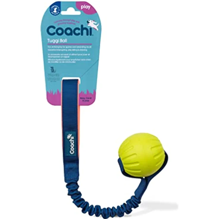 Company of Animals Coachi Tuggi Ball, Robustes Tierspielzeug mit dehnbarem Bungee-Griff, leicht und sicher, ideal für Belohnungstraining und Agility, für alle Hunde und Welpen – Bild 1